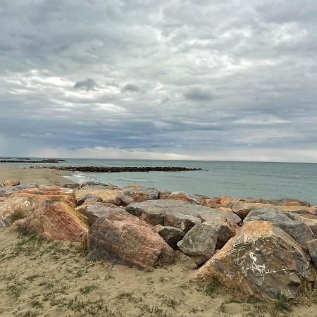 Port Barcares Vue Port Et Mer 르발카레스 외부 사진