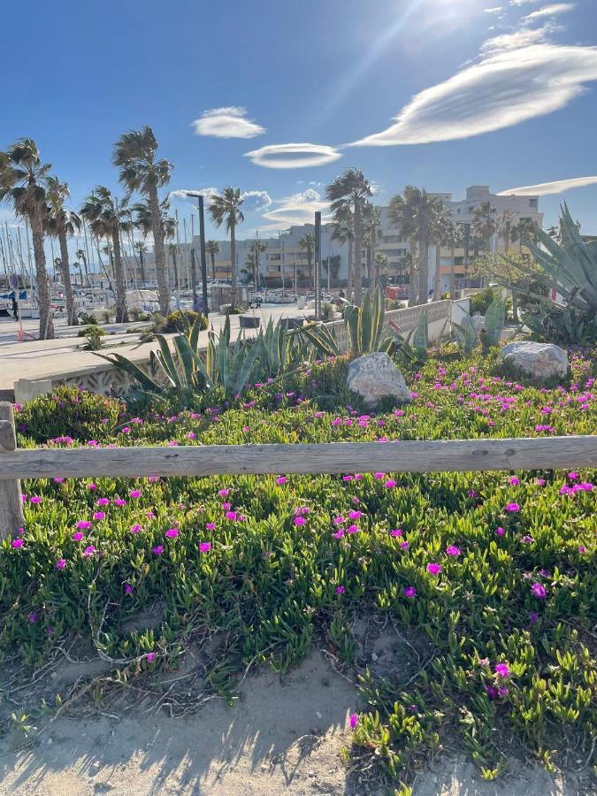 Port Barcares Vue Port Et Mer 르발카레스 외부 사진