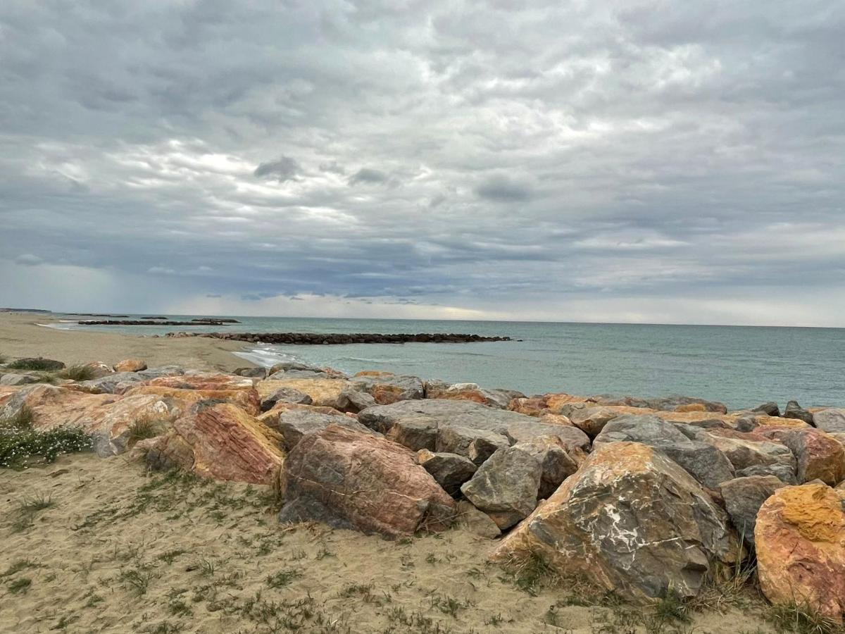 Port Barcares Vue Port Et Mer 르발카레스 외부 사진